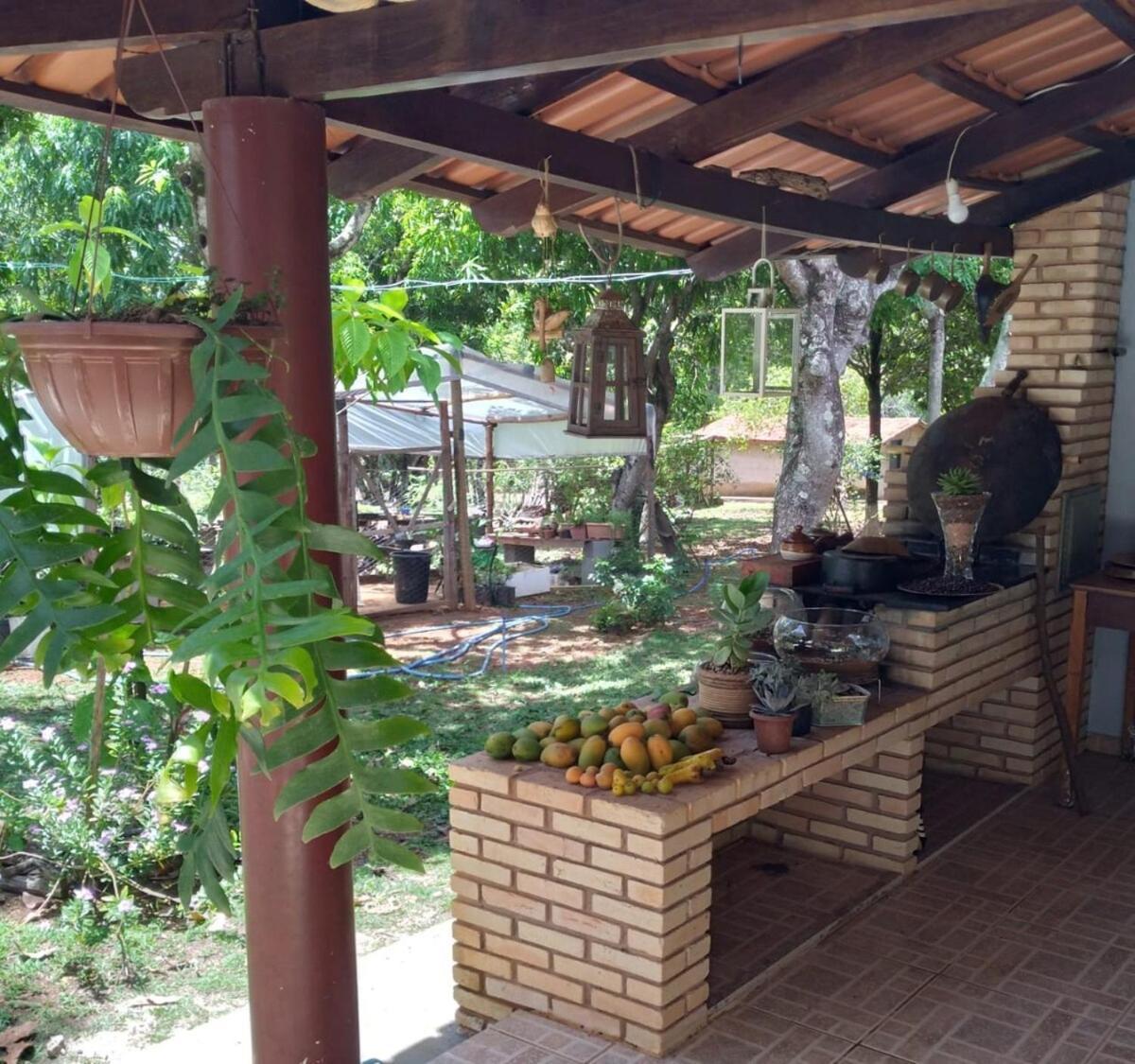 Sitio Em Natureza Exuberante! * Brasília