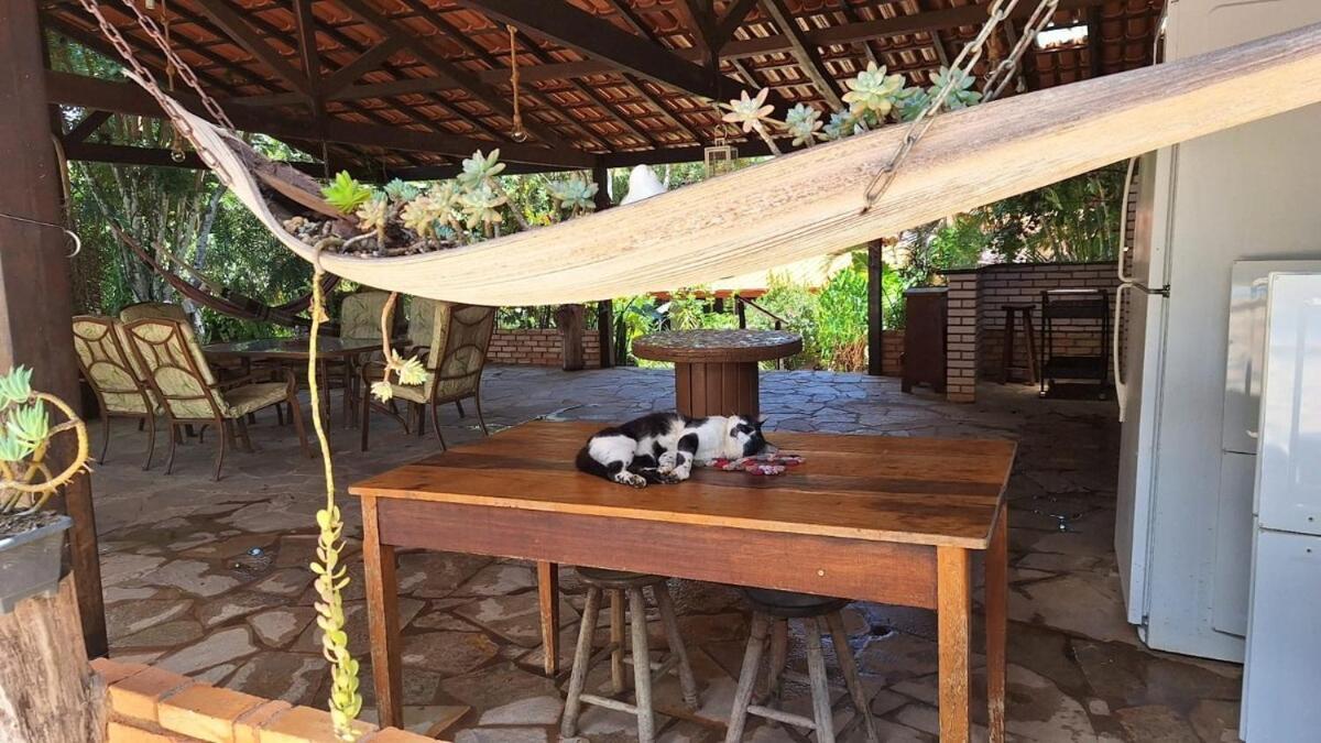 Sitio Em Natureza Exuberante!