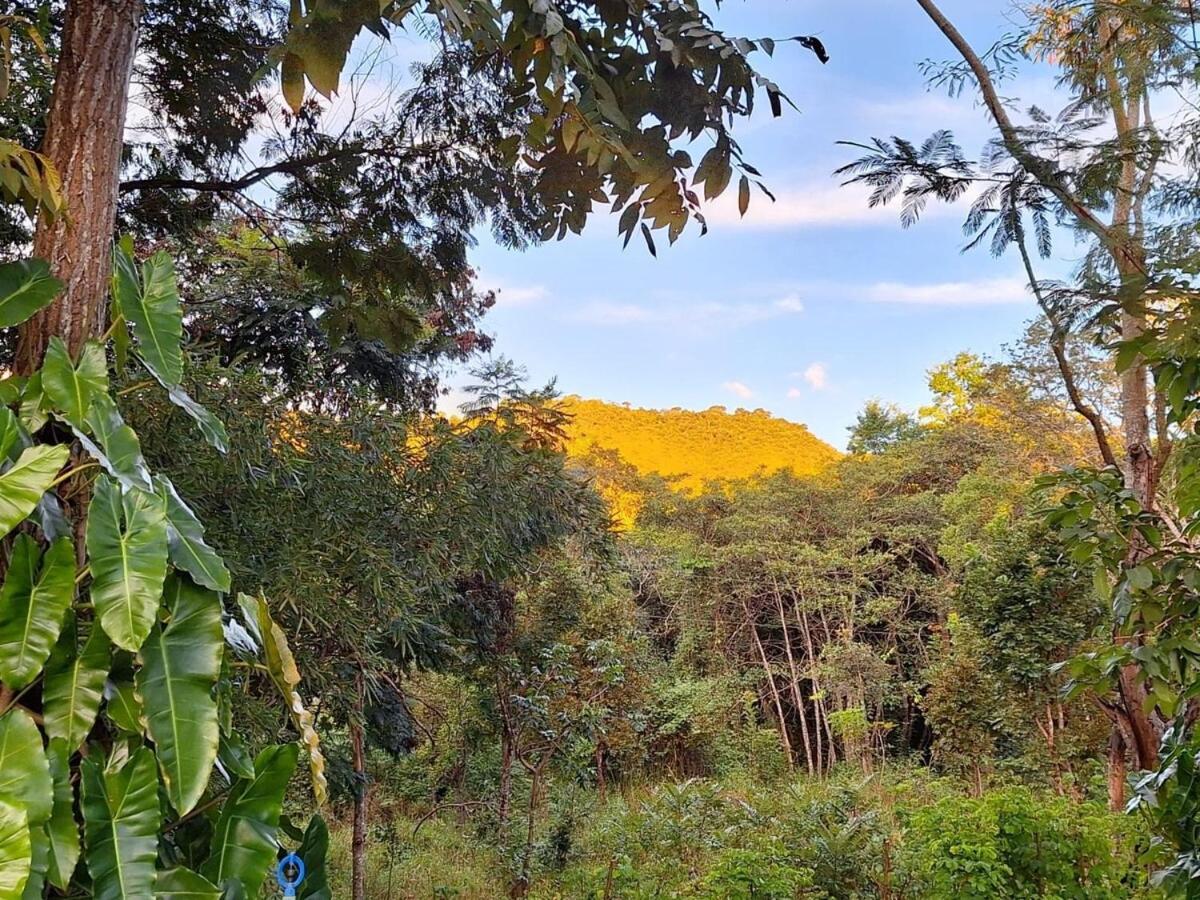 Sitio Em Natureza Exuberante! Casa de férias *