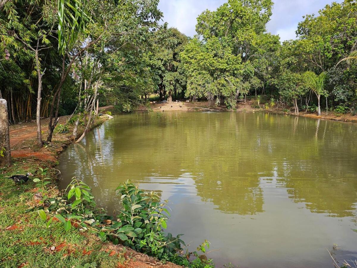 Sitio Em Natureza Exuberante! * Brasilia