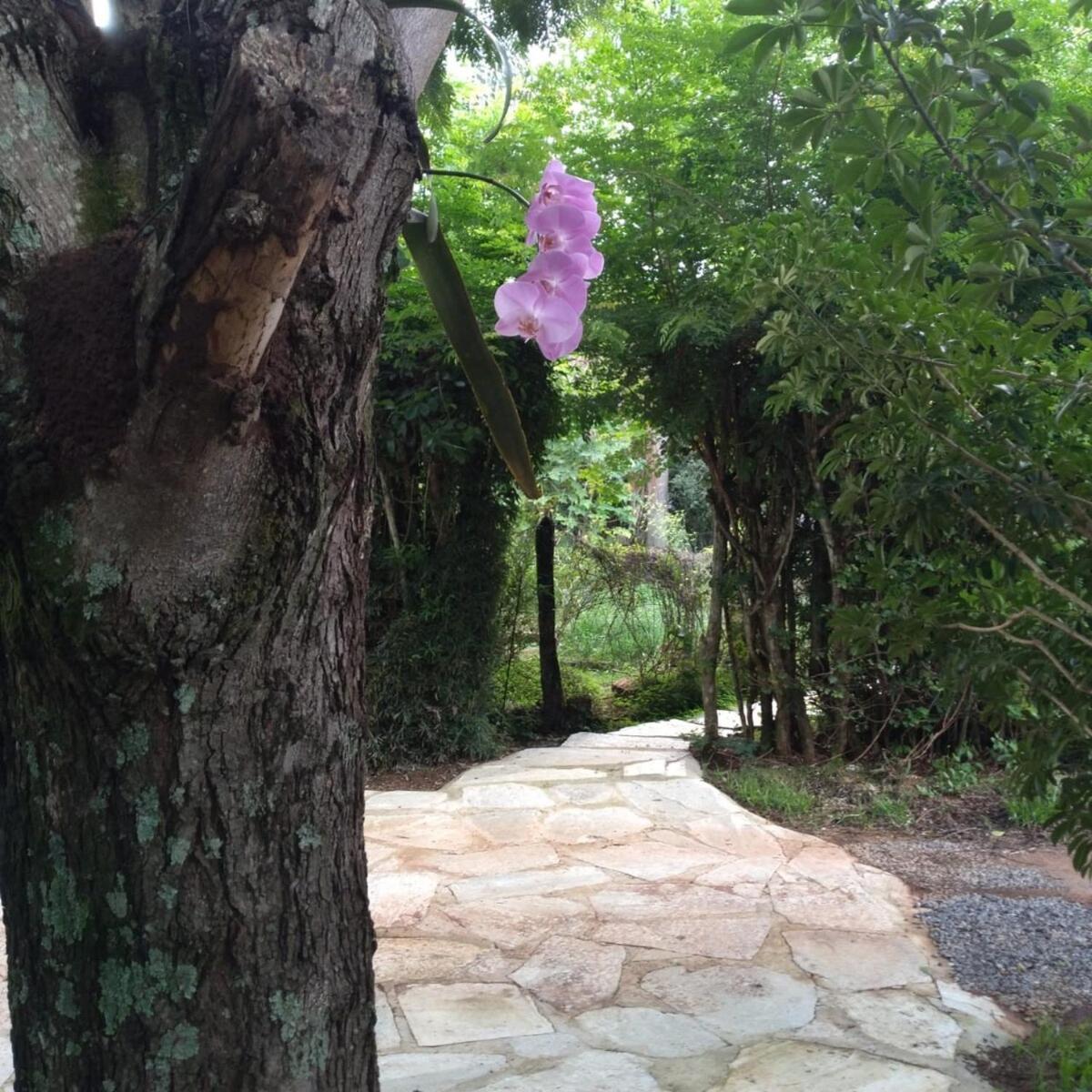 Sitio Em Natureza Exuberante! Brasilia