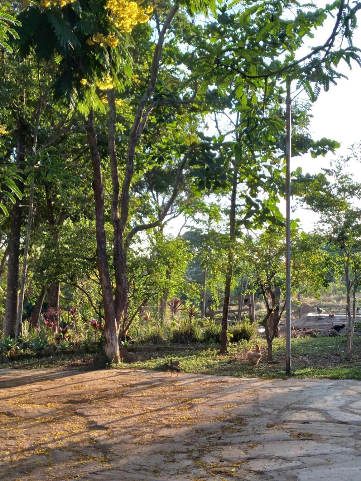 Сasa de vacaciones Sitio Em Natureza Exuberante! *